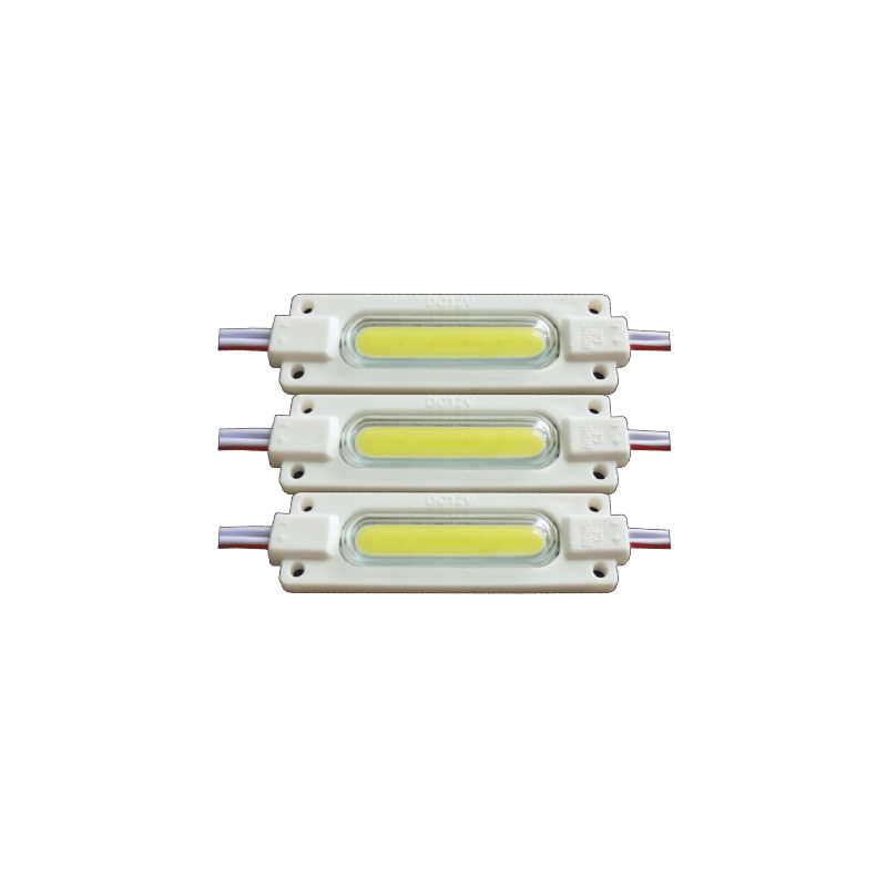 2W COB Led Modül