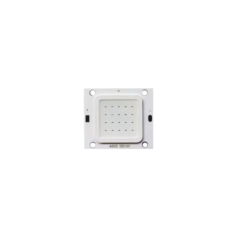 COB Led 50WB 32V