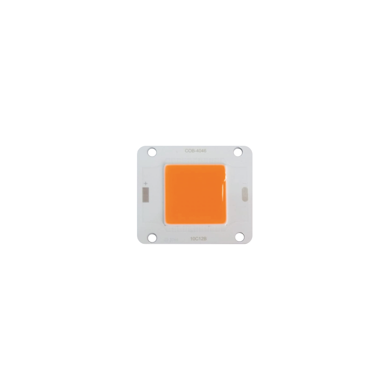 COB Led 50WGRW 32V