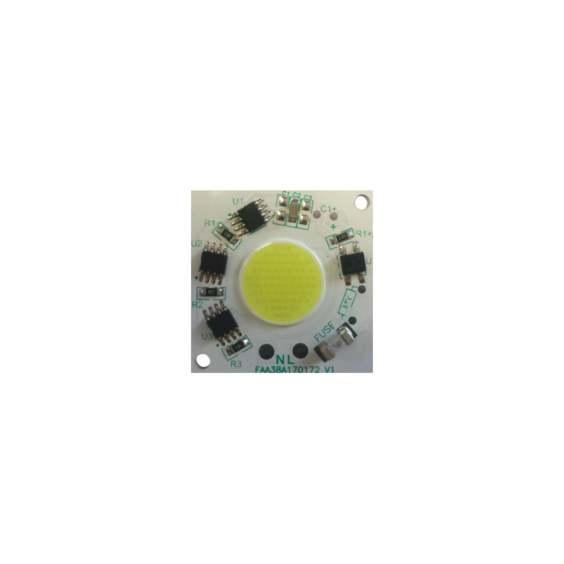 COB Led 220V 30W