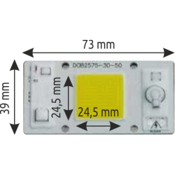 COB Led 220V 50WGRW Grow